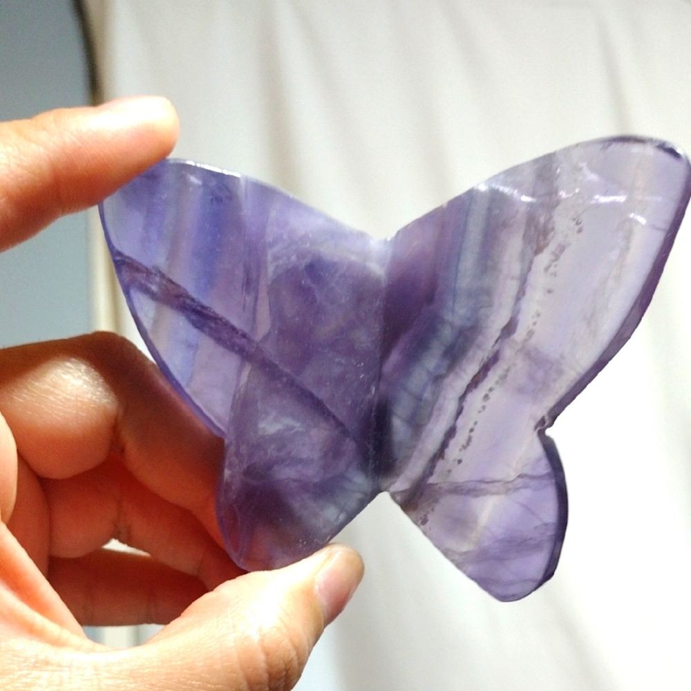 Large Purple Fluorite Butterfly
